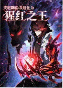 龙猫